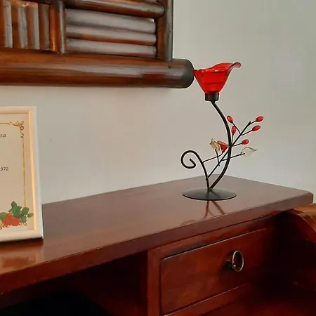 Rosa * Samarate