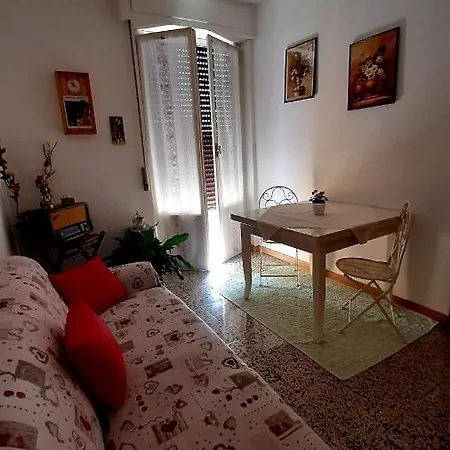 Rosa * Samarate
