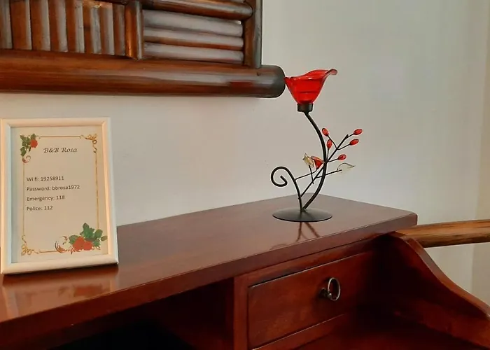 Rosa * Samarate